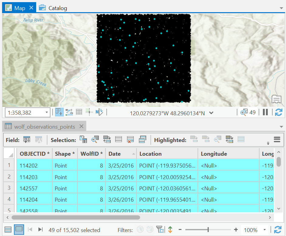 Boyds Last Two Weeks